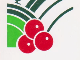 456907724_511603854805451_2424143422257163317_n